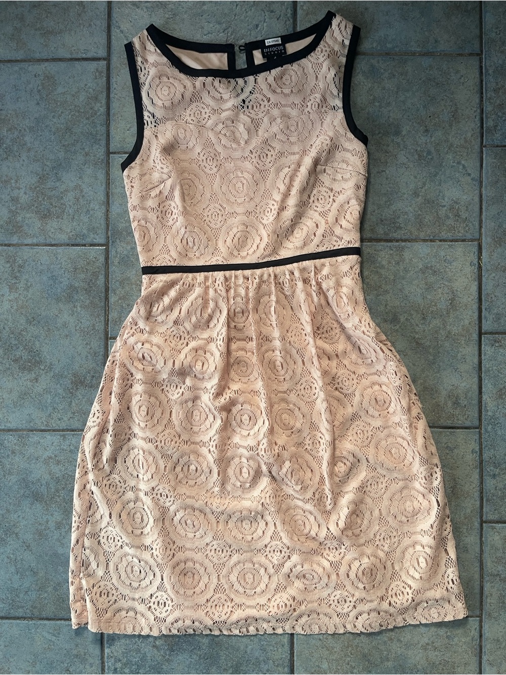 Enfocus Studio Blush Lace Sleeveless Fit-and-Flare Dress with Black Trim